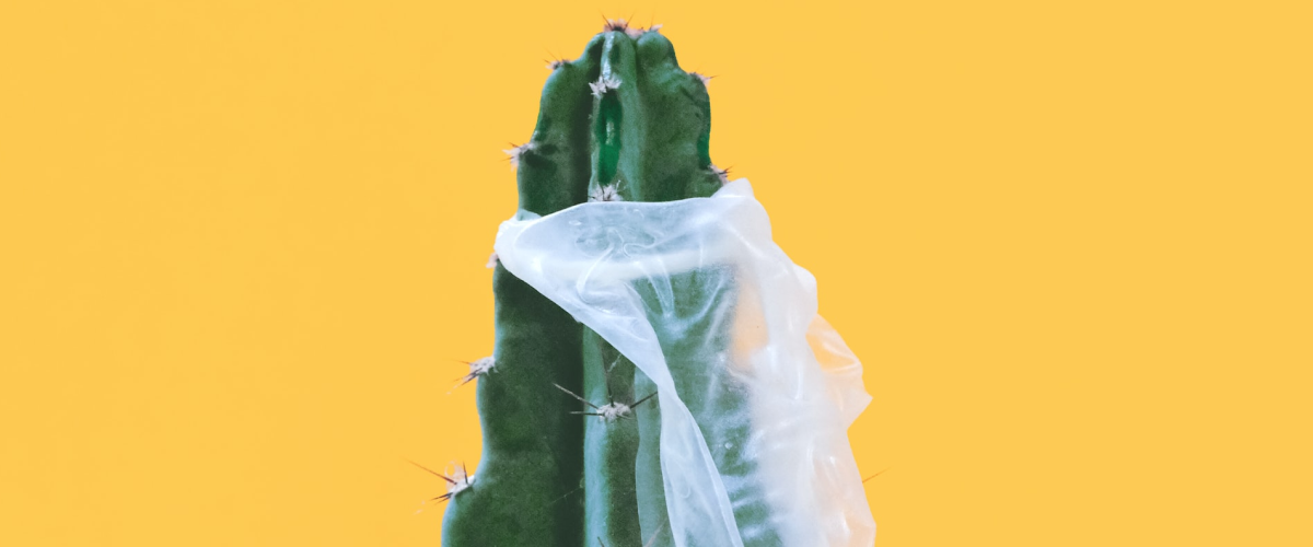 Что делать, если порвался презерватив? Может ли презерватив порваться?