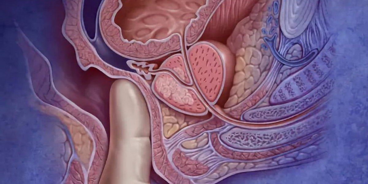 Здоровая простата &ndash; второе сердце мужчины. Лечим простатит сексом