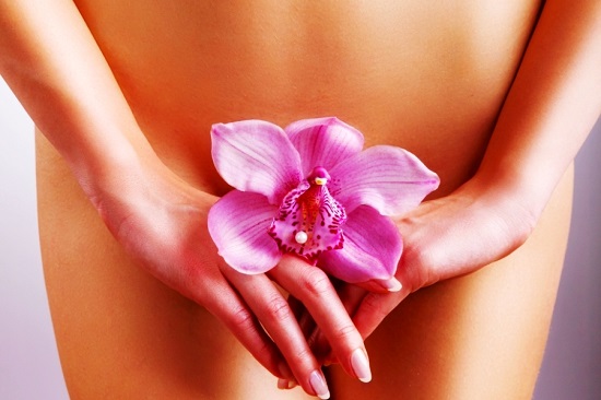 Вагина и вульва &mdash; что это, чем отличаются