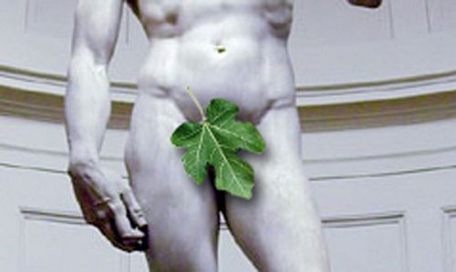 Новые исследования о размере члена: 84% женщин довольны