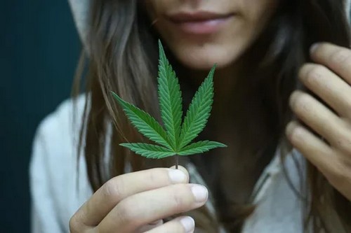 Ученые открыли 7 растений, которые усиливают эрекцию и либидо