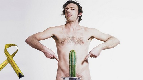 Новые исследования о размере члена: 84% женщин довольны