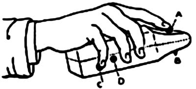 10 фактов о вибраторах 