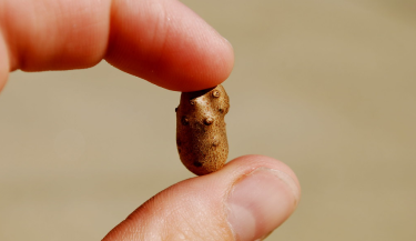 Что делать, если у меня маленький член?