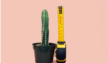 Размер имеет значение? Топ 10 вещей, которые женщины ценят больше, чем размер члена