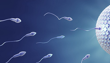 Тайны мужского семени. Этого о сперме вы точно не знали!