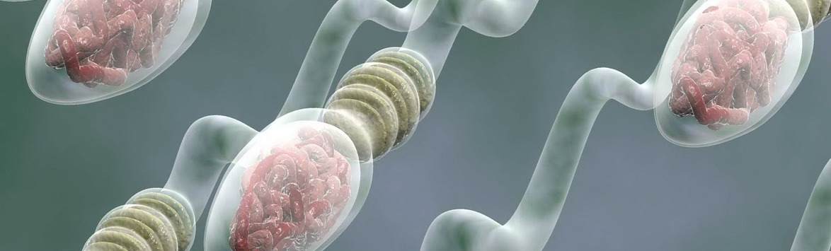 Гиперспермия и сексуальное здоровье. Что должен понимать каждый мужчина