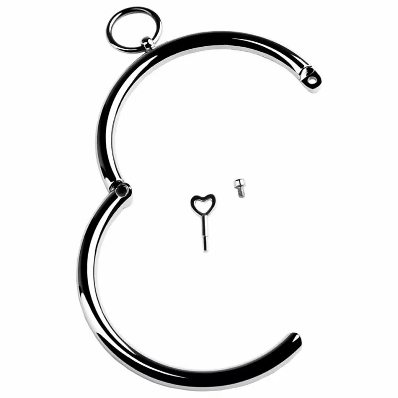 Металлический ошейник с маленьким колечком Toyfa Metal – серебристый