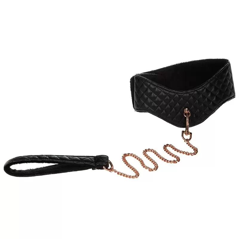 Ошейник Entice Posture Collar with Leash с поводком – черный