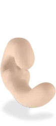 Анатомический страпон Fun Factory Sharevibe, безремневой, со съемной вибропулей, 22 см, бежевый