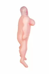 Надувная секс-кукла TOYFA Dolls-X Isabella - телесный