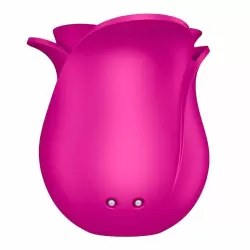 Вакуумно-волновой стимулятор клитора с насадкой жидкий воздух Pro 2 Modern Blossom, Satisfyer, розовый