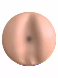 Реалистичный мастурбатор Fleshlight Boost Blast Female, с плавающими кольцами «Turbo Tech», 24,8 см, анус, светло-телесный