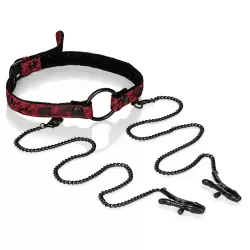 Кляп-рамка Scandal Open Mouth Gag with Clamps с зажимами на соски