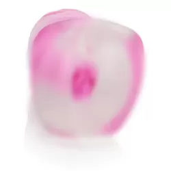 Мастурбатор вагина College Tease – прозрачный с розовым