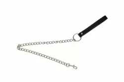 Металлический поводок Party Hard Willpower