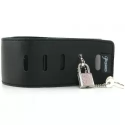 Ошейник с зажимами для сосков Fetish Fantasy