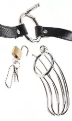 Пояс верности Fetish Fantasy Extreme The Prisoner - черный