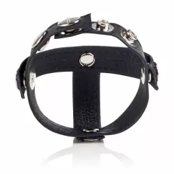 Кожаная утяжка на пенис с разделителем мошонки Colt C/B Strap H-Piece Divider – черный