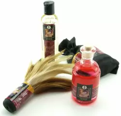 Подарочный набор Tenderness & Passion Shunga Erotic Art