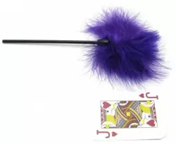Стек с перьями Playful Tickler