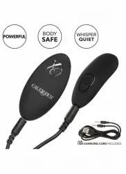 Трусики с вибратором для стимуляции клитора Remote Control Panty Set L/XL: 12 режимов работы, АБС/силикон