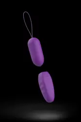 Виброяйцо с пультом управления Bnaughty Classic. Фиолетовый