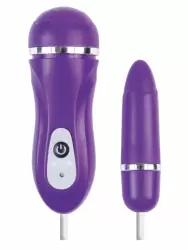 Мультифункциональное виброяйцо TOYFA A-Toys – фиолетовый