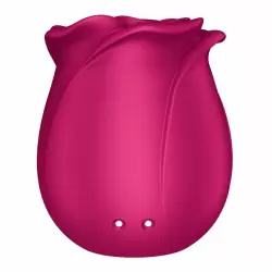 Вакуумно-волновой стимулятор клитора Satisfyer Pro 2 Classic Blossom, технология Air-Pulse, 11 режимов, красный