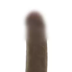 Фаллоимитатор с вибрацией Vibrating Cyber Cock with Balls 6 – мулат