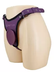 Элегантные трусы для страпона Baile HARNESS BRIEFS, фиолетовые