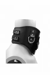 Широкий ошейник Heavy Duty Padded Posture Collar