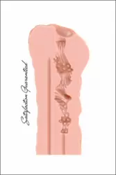 Мастурбатор Satisfaction Night Wish 2001-03Lola