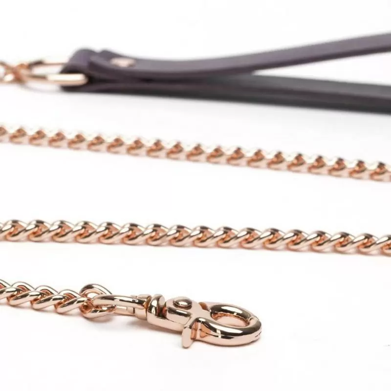 Стильный ошейник с металлической цепочкой Leather Collar & Lead - фиолетовый