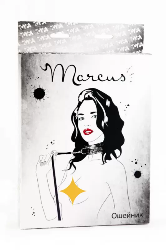 Кружевной ошейник TOYFA Marcus – серебристый 