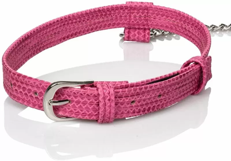 Ошейник с поводком Tickle Me Pink
