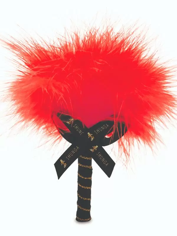 Ароматизированная массажная пудра Shunga Шампанское и клубника, без добавления сахара, 290 г