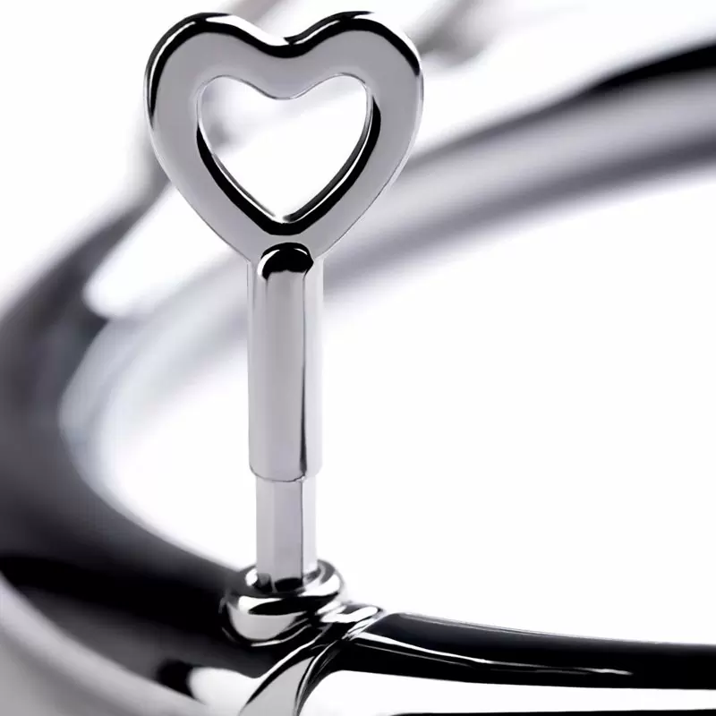 Металлический ошейник с маленьким колечком Toyfa Metal – серебристый