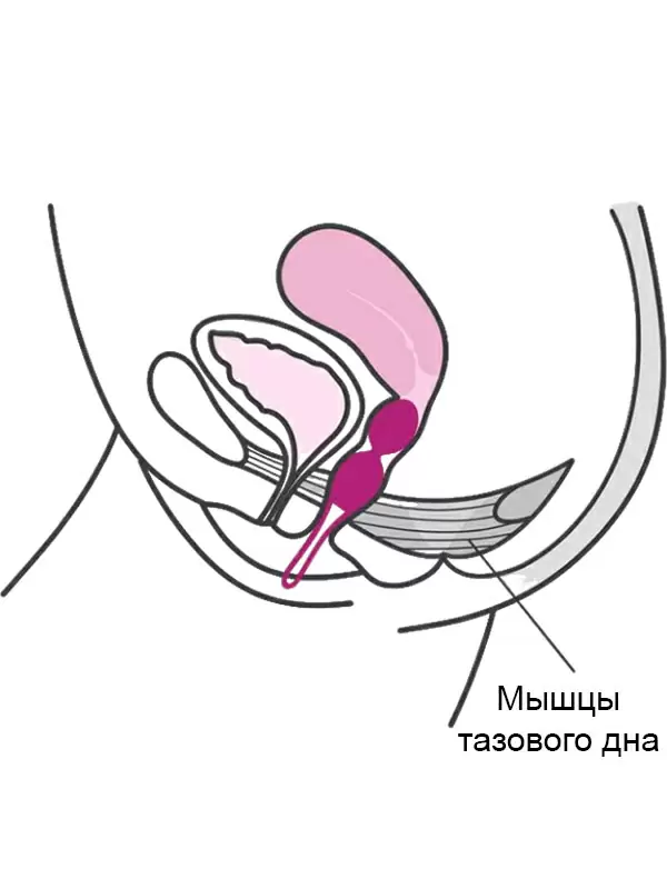 Вагинальные шарики со смещенным центром тяжести Fun Factory Smartballs Duo, силикон, фиолетовые