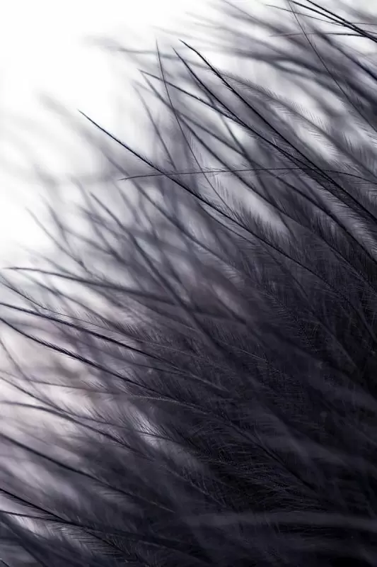 Маленькая анальная втулка с опушкой TOYFA Metal – чёрный