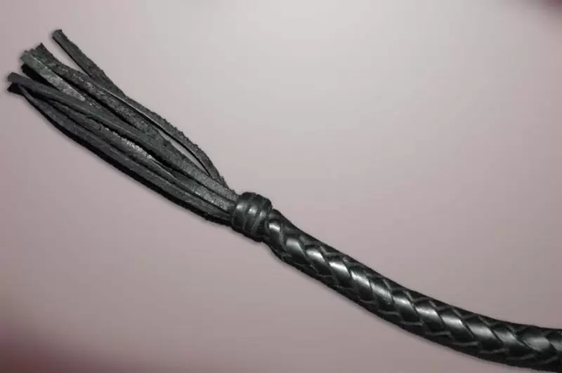 Кнут «Поддай жару»