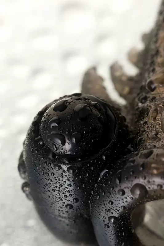 Увеличивающая насадка на пенис TOYFA XLover с вибрацией и кольцом на мошонку – серый