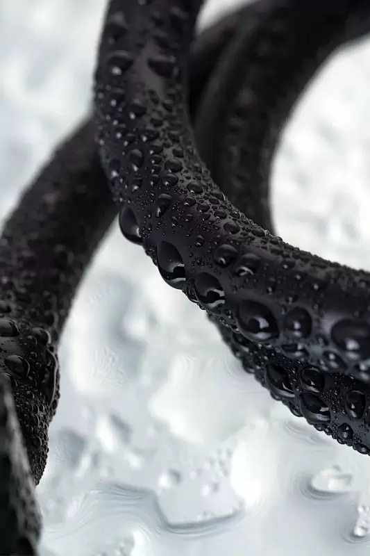 Увеличенная вакуумная помпа для пениса TOYFA A-Toys – черный