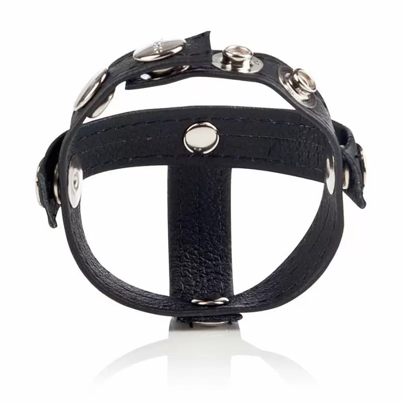 Кожаная утяжка на пенис с разделителем мошонки Colt C/B Strap H-Piece Divider – черный