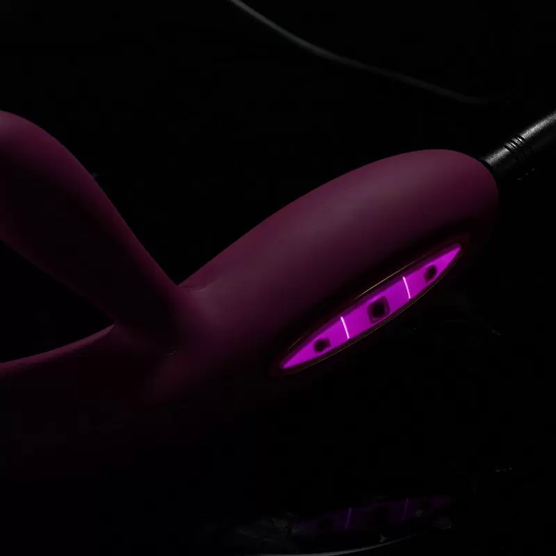 Двойной вибратор Lucas с интеллектуальным режимом, 48 ч без подзарядки – фиолетовый