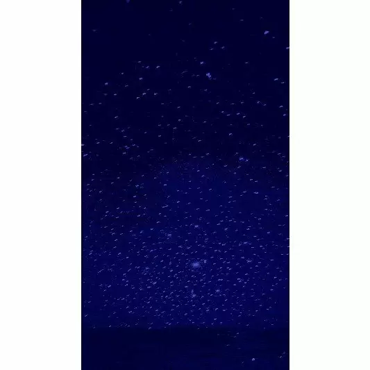 Вакуумный клиторальный стимулятор «Pulse Galaxie» с проектором