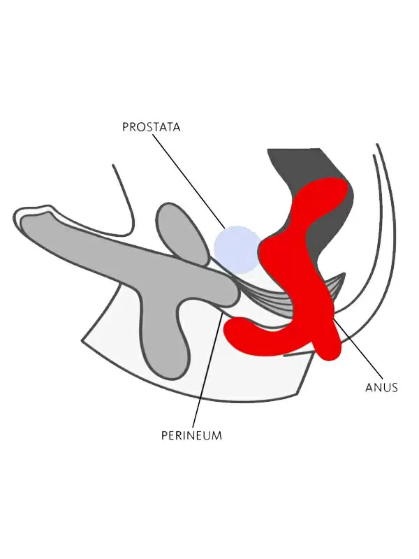 Массажер простаты Fun Factory Duke, 5 режимов, черный