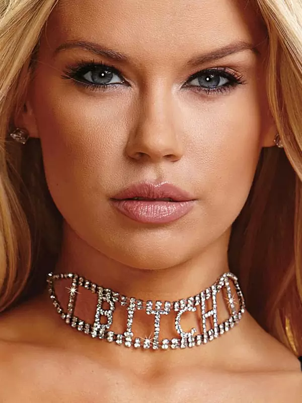 Ожерелье из кристаллов Ann Devine - Bitch Rhinestone Choker – серебристый