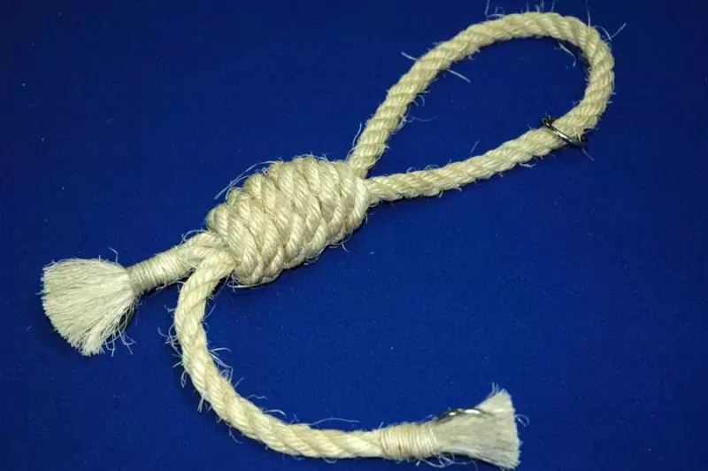 Ошейник «Галстук висельника»