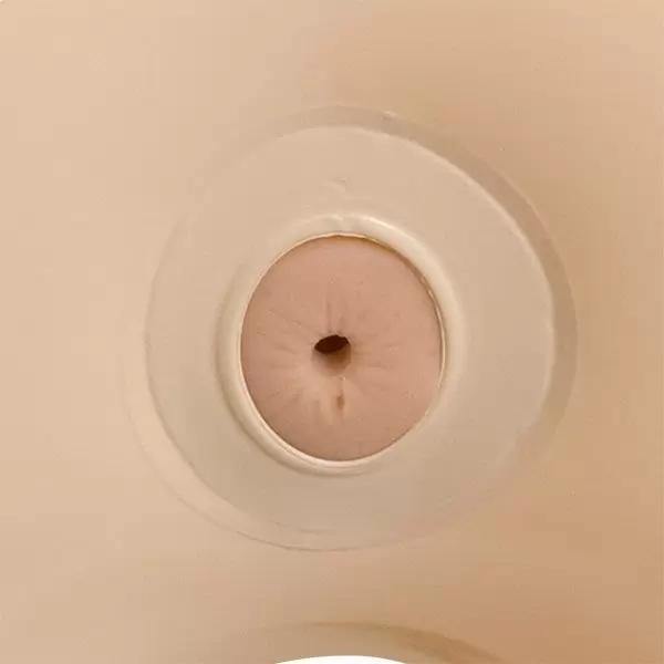 Реалистичная кукла Jenna Jameson